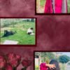 Gulnaar Grace